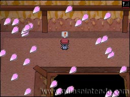 Pokémon Edición Platino