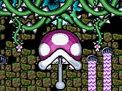Yoshi´s Island DS