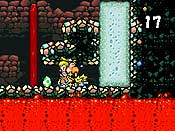Yoshi&acute;s Island DS