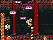 Yoshi&acute;s Island DS