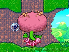Kirby Mass Attack