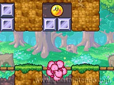 Kirby Mass Attack