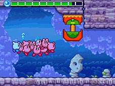 Kirby Mass Attack