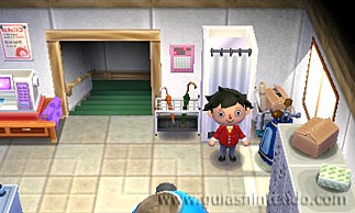 Animal Crossing: Happy Home Designer