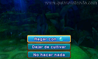 Ever Oasis
