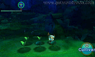 Ever Oasis