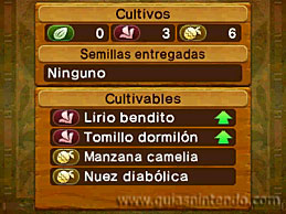 Ever Oasis