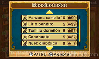 Ever Oasis
