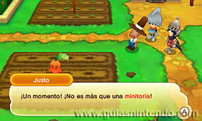 Fantasy Life