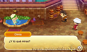 Fantasy Life