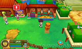 Fantasy Life