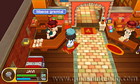 Fantasy Life