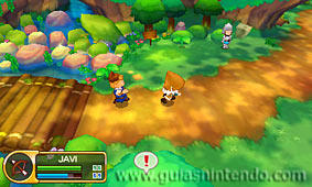 Fantasy Life