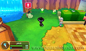 Fantasy Life