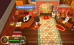 Fantasy Life