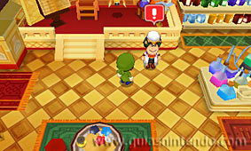 Fantasy Life