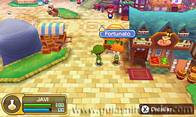 Fantasy Life