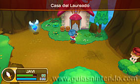 Fantasy Life