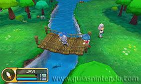 Fantasy Life