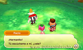Fantasy Life