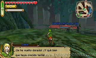 Hyrule Warriors: Legends