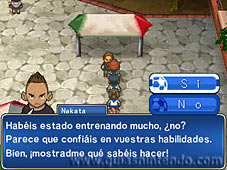 Inazuma Eleven 3: ¡La amenaza del Ogro!