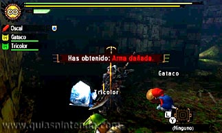 Monster Hunter 4 Ultimate