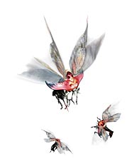 Monster Hunter 4 Ultimate