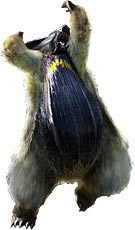 Monster Hunter 4 Ultimate