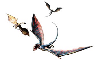 Monster Hunter 4 Ultimate