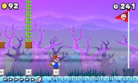 New Super Mario Bros. 2
