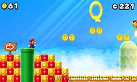 New Super Mario Bros. 2