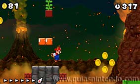 New Super Mario Bros. 2