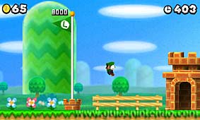 New Super Mario Bros. 2