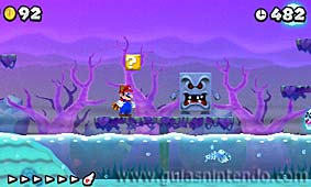 New Super Mario Bros. 2