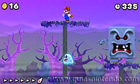 New Super Mario Bros. 2