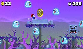 New Super Mario Bros. 2