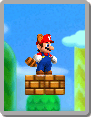 New Super Mario Bros. 2