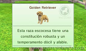 Nintendogs + Cats (3DS)