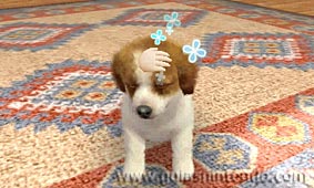 Nintendogs + Cats (3DS)