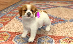 Nintendogs + Cats (3DS)