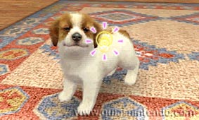 Nintendogs + Cats (3DS)