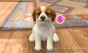 Nintendogs + Cats (3DS)