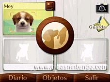 Nintendogs + Cats (3DS)