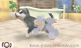Nintendogs + Cats (3DS)