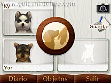 Nintendogs + Cats (3DS)