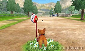 Nintendogs + Cats (3DS)