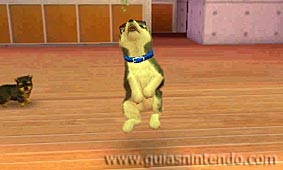 Nintendogs + Cats (3DS)