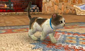 Nintendogs + Cats (3DS)