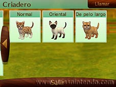 Nintendogs + Cats (3DS)